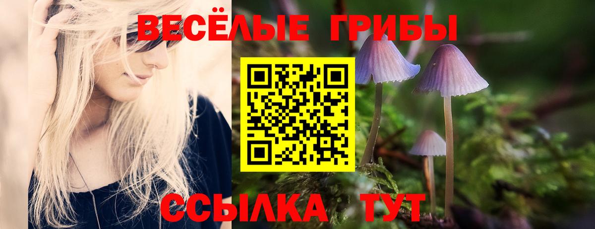 Псилоцибиновые грибы мицелий  Галлюциногенные грибы мухоморы  Черногорск  Вход с VPN 